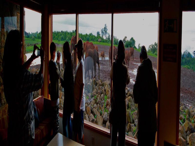 The Ark Lodge Nyeri Exterior foto